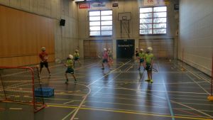 Hallenhornussen_2017